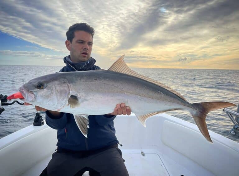 Inshore catch at sunset on the Costa Brava