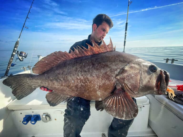Great catch on a guided fishing trip from Palamós