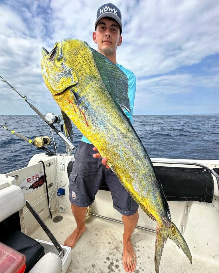 Mahi-mahi caught on a fishing trip from Palamós