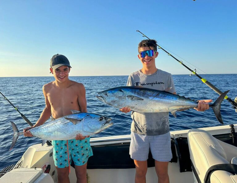 Little tunny caught while chumming off Palamós