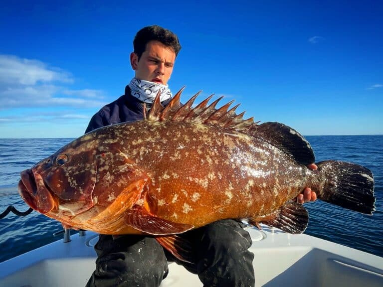 Grouper caught on a fishing trip on the Costa Brava