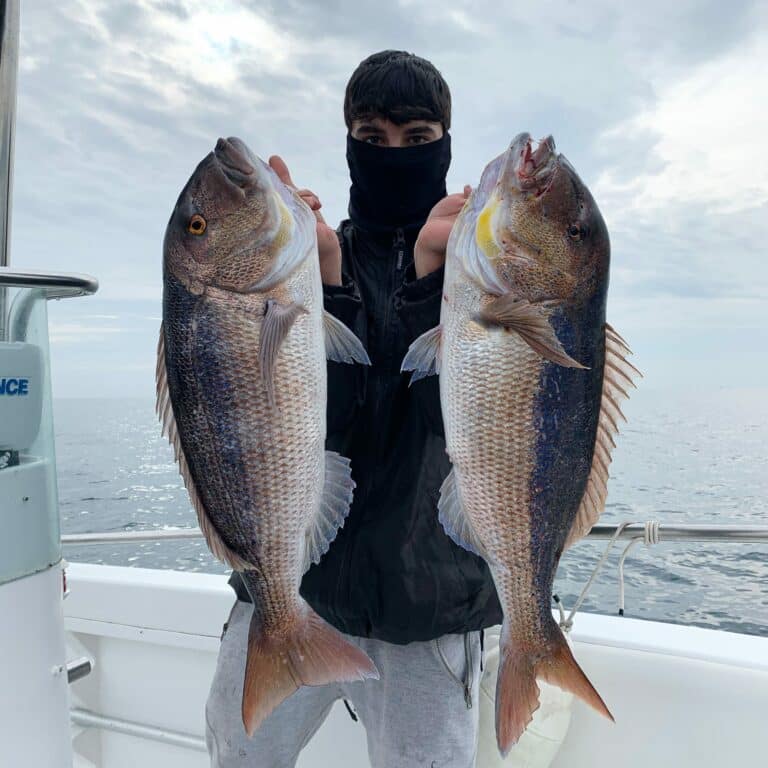 Two catches from an inshore fishing trip on the Costa Brava