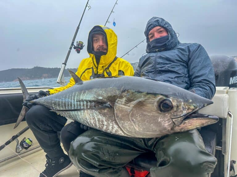 Bluefin tuna caught spinning in spring off Palamós