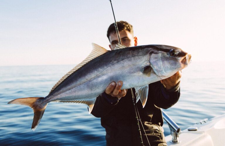 Inshore catch off Palamós