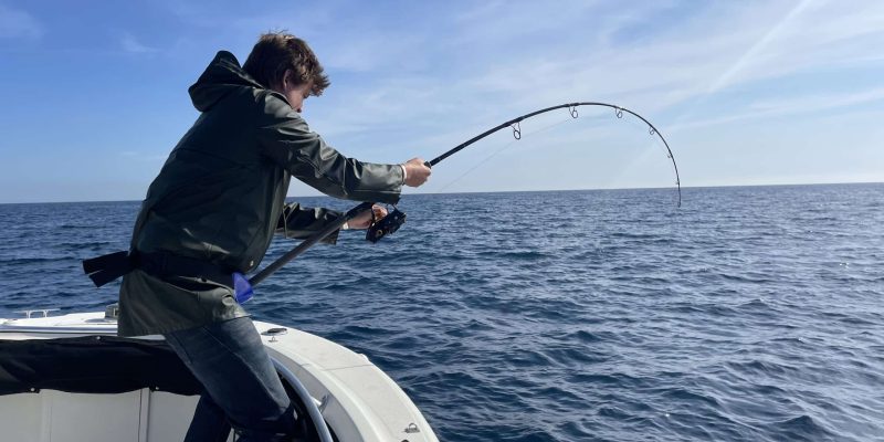 Pesca DivaTeam Fishing