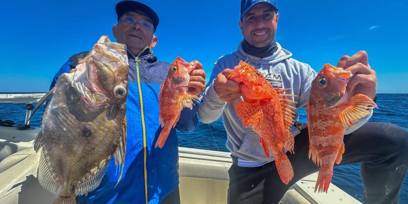 Pesca en la Costa Brava con Diva Team Fishing